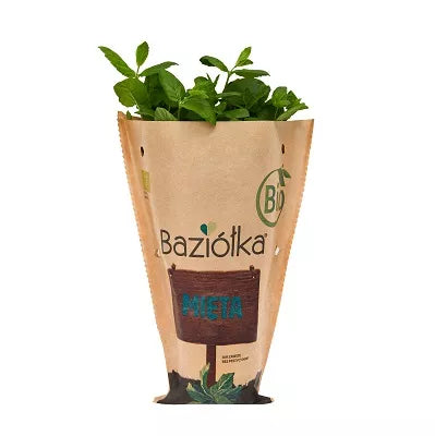 *BAZIÓŁKA Mięta do posadzenia w doniczce - BIO