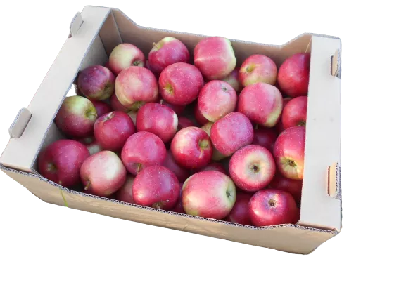 Jabłka ekologiczne na sok (1kg ) - BIO (PL)