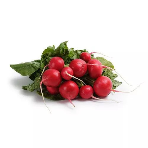 Rzodkiewka ekologiczna pęczek 1szt. - BIO (I)