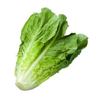 Sałata Batawia zielona 1 szt - BIO (I)