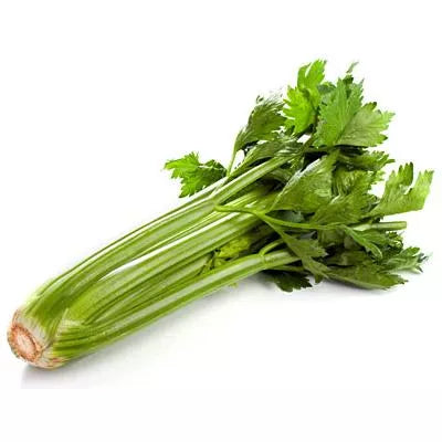 Seler naciowy ekologiczny (1szt.) - BIO (I)