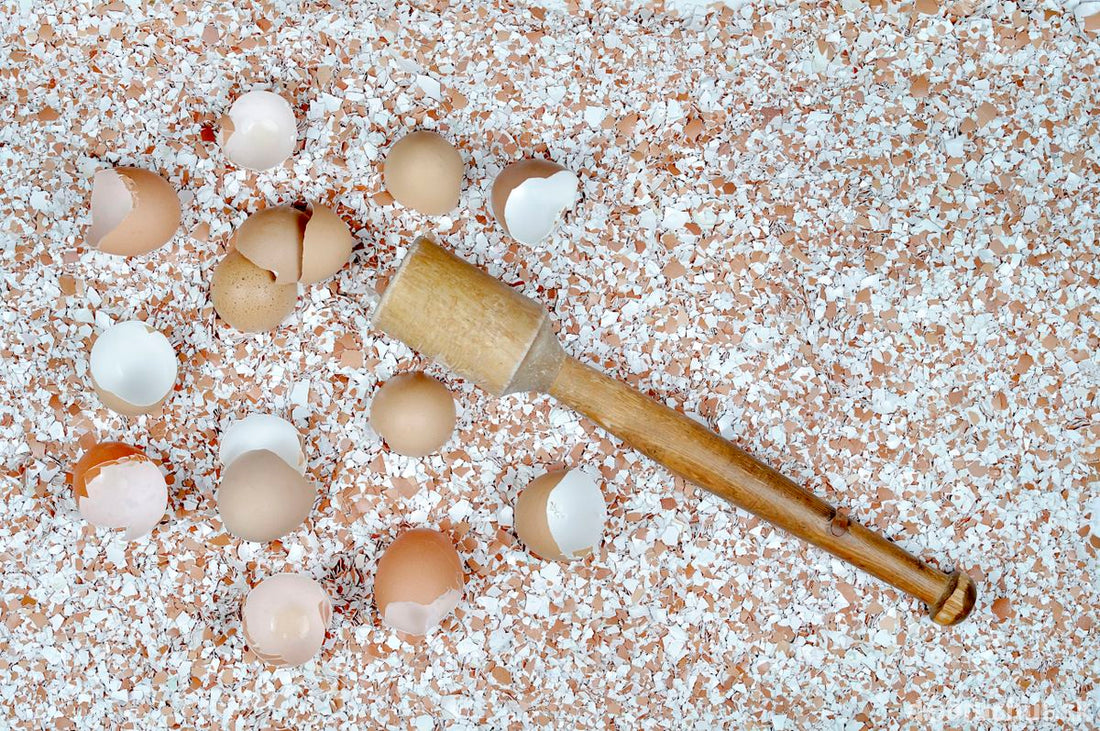 Skorupki Jajek: Ekologiczne Wykorzystanie w Twoim Gospodarstwie Domowym