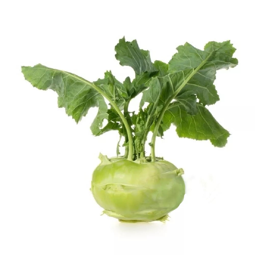 Kalarepa ekologiczna 1szt. - BIO (I)