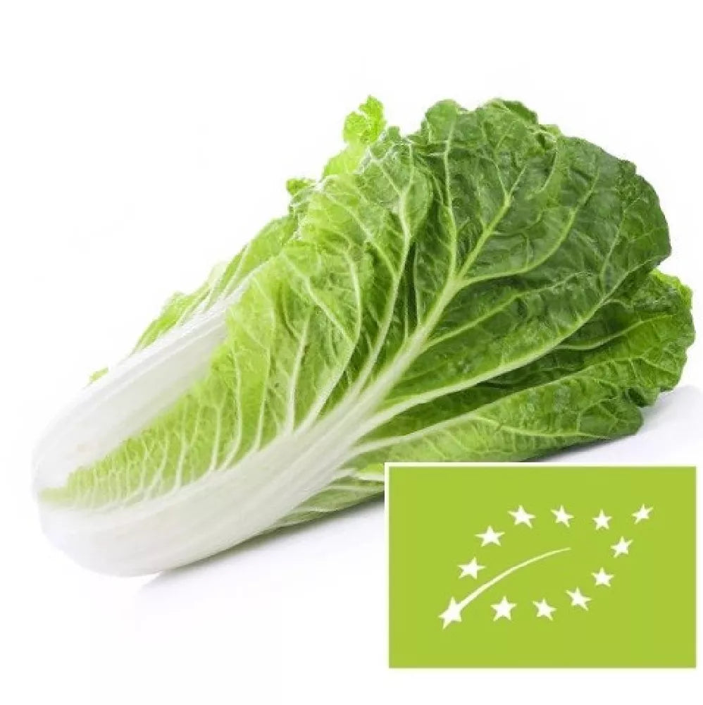 Kapusta pekińska 1 szt - BIO