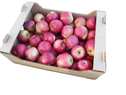 Jabłka ekologiczne na sok (1kg ) - BIO (PL)