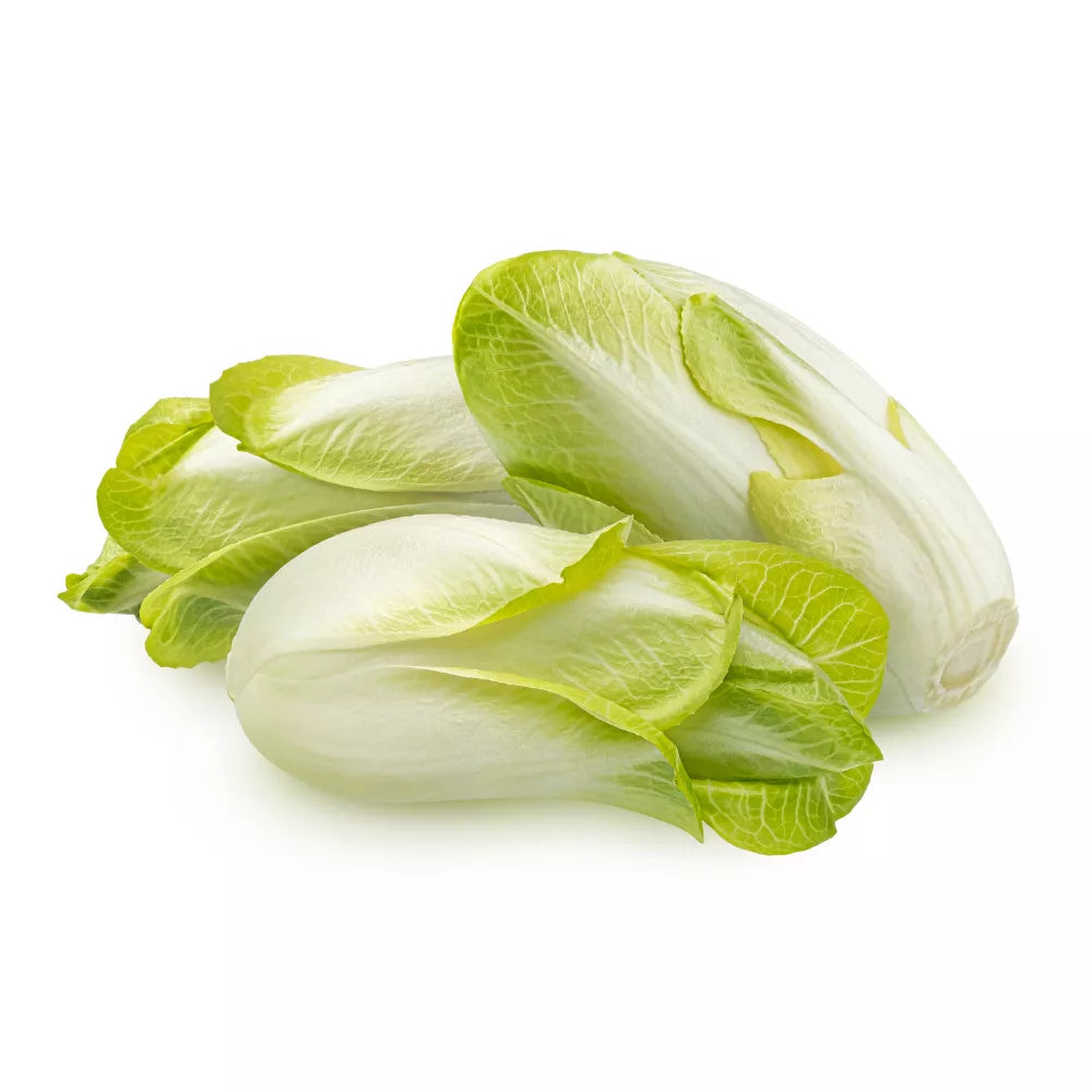 Cykoria ekologiczna (250g) - BIO (I)