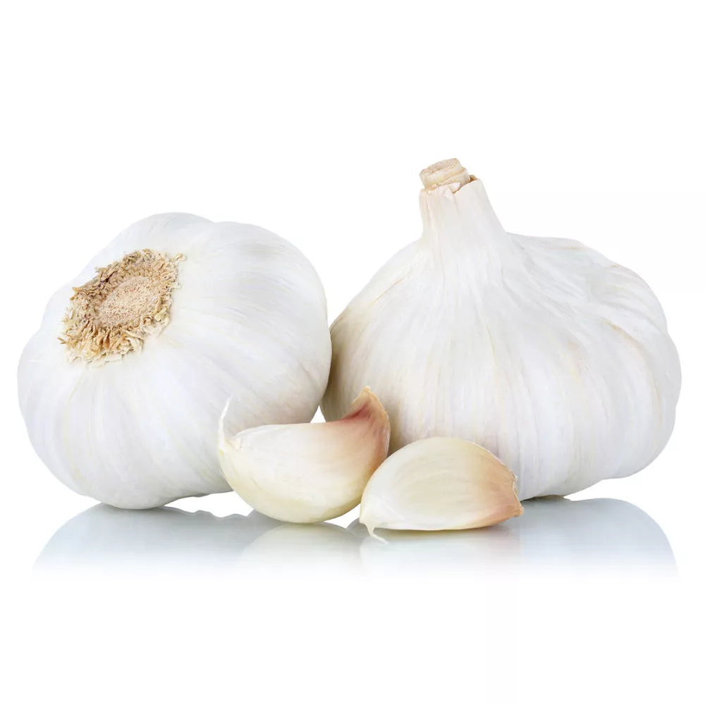 Cebula ekologiczna żolta 1kg - BIO (PL)