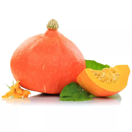 Dynia ekologiczna HOKKAIDO (1,5kg) - BIO (PL)