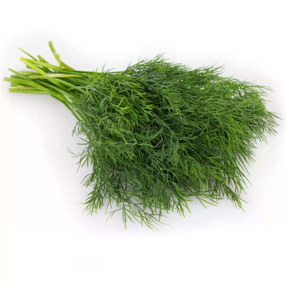 Rozmaryn ekologiczny (pęczek) - BIO (I)