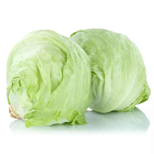 Sałata lodowa ekologiczna 1szt. - BIO (I)